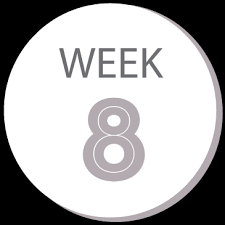 GSoC 2018 - Week - 8
