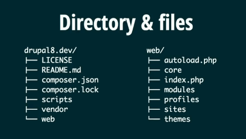 Directory structure